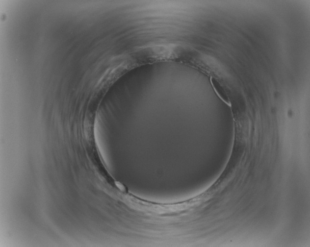 X0000061730035200512091556