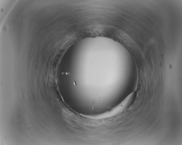 X0000061730037200512091556