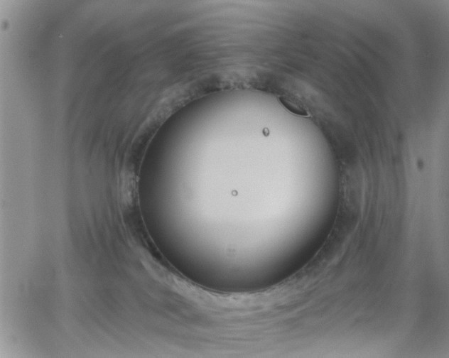 X0000061730038200512091556