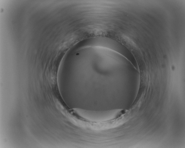 X0000061730039200512091556