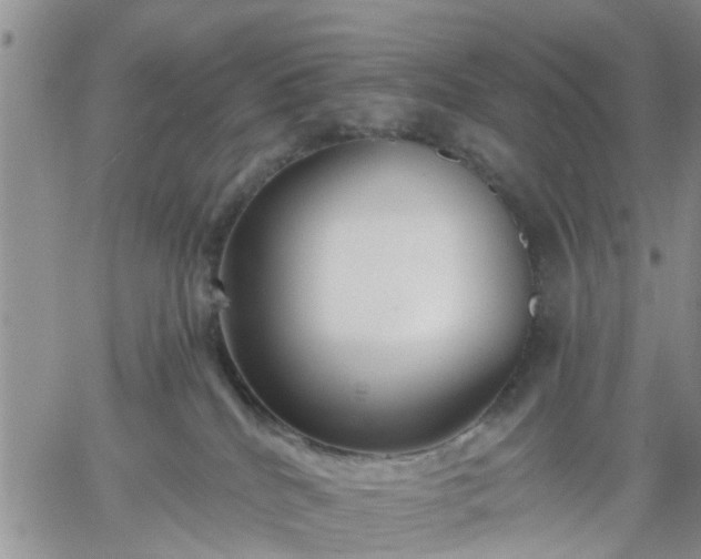 X0000061730040200512091556