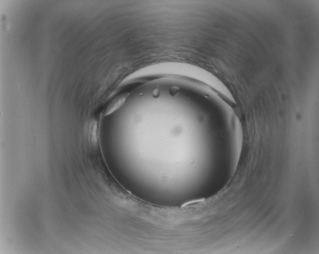 X0000061730041200512091556