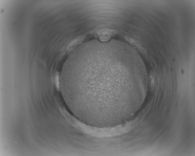 X0000061730042200512091556