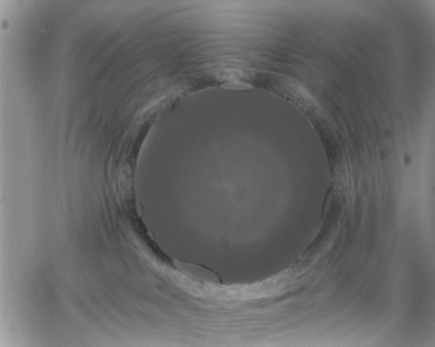 X0000061730043200512091556