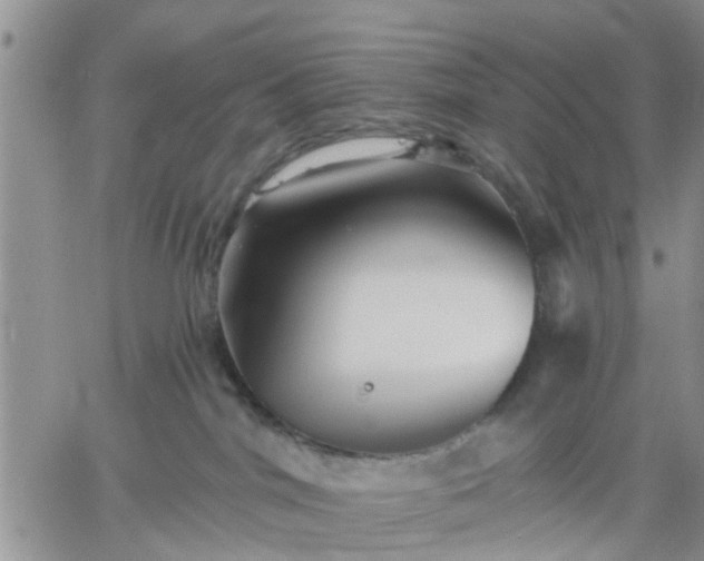 X0000061730044200512091556