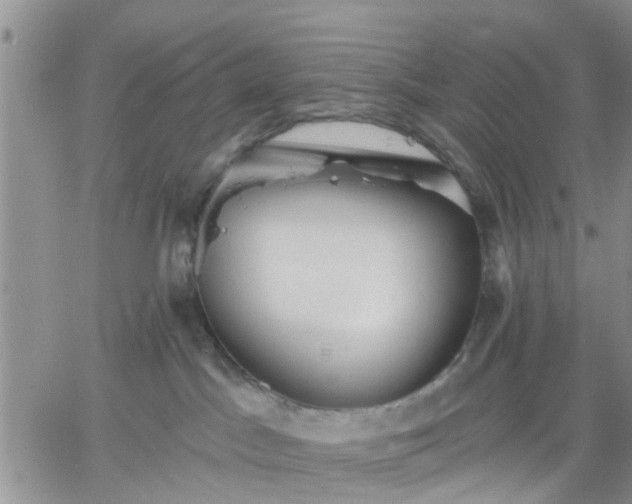 X0000061730045200512091556