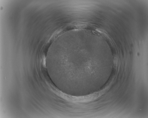 X0000061730046200512091556