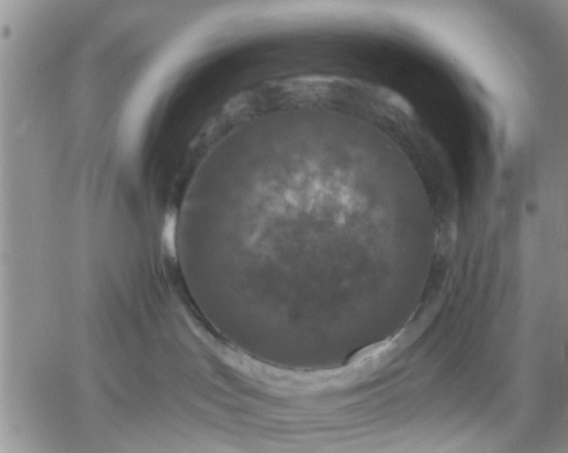 X0000061730047200512091556