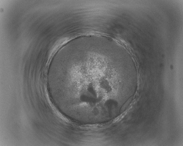 X0000061730049200512091555