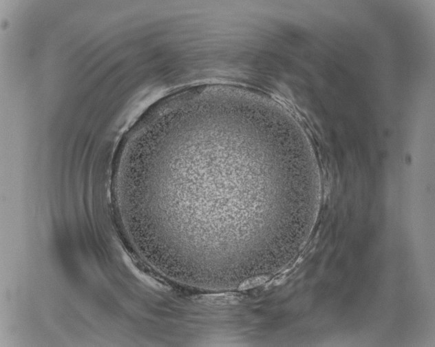 X0000061730050200512091555