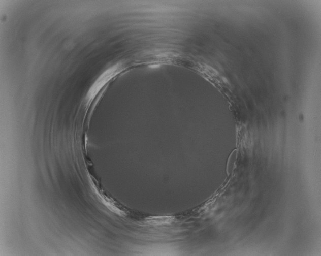 X0000061730051200512091555