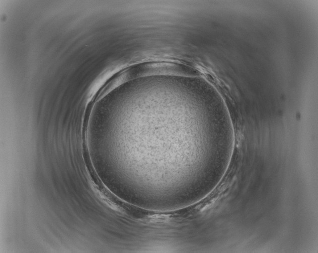 X0000061730052200512091555