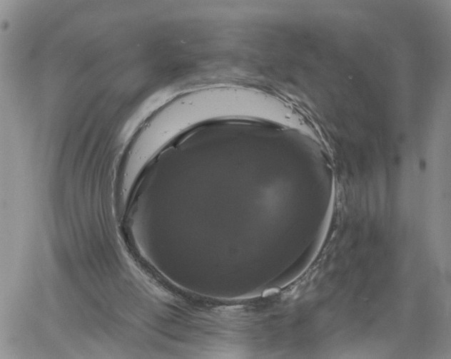 X0000061730054200512091555