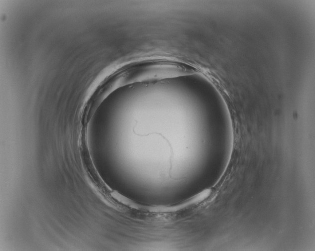 X0000061730056200512091555