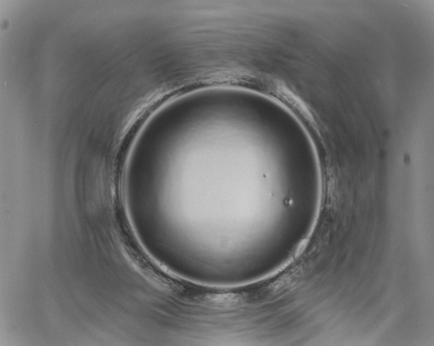 X0000061730059200512091555