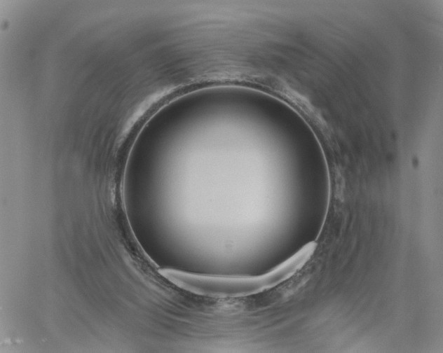 X0000061730060200512091555