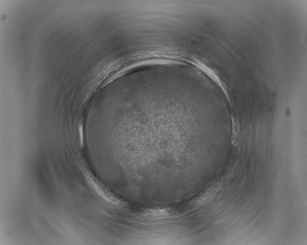 X0000061730061200512091555