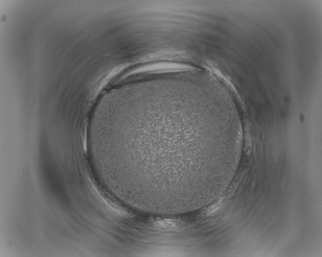 X0000061730062200512091555