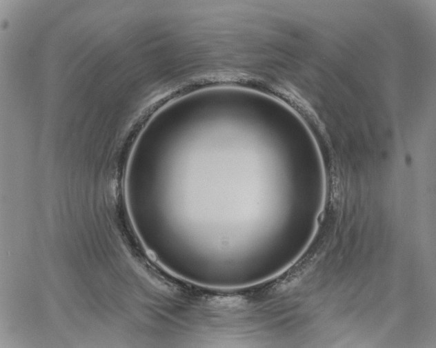 X0000061730063200512091555