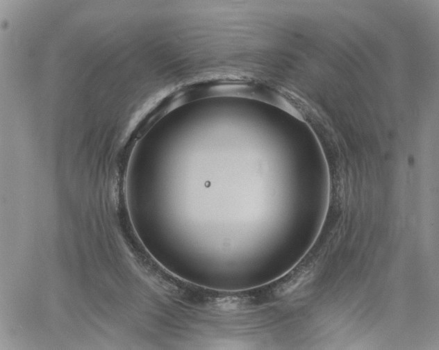 X0000061730064200512091555