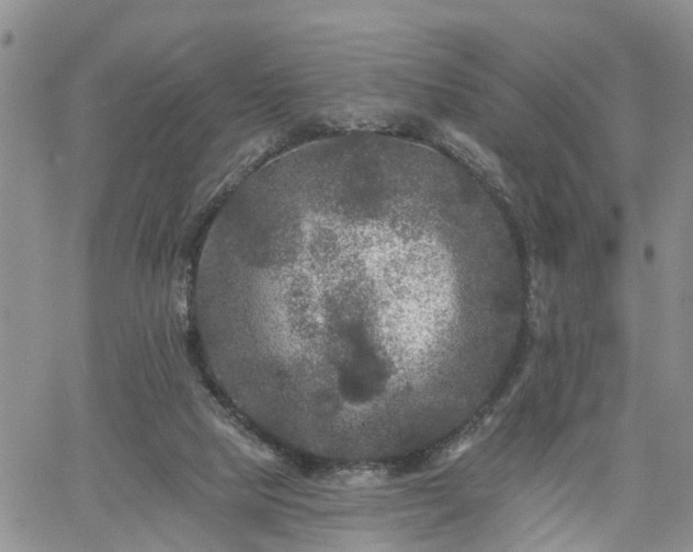 X0000061730065200512091555