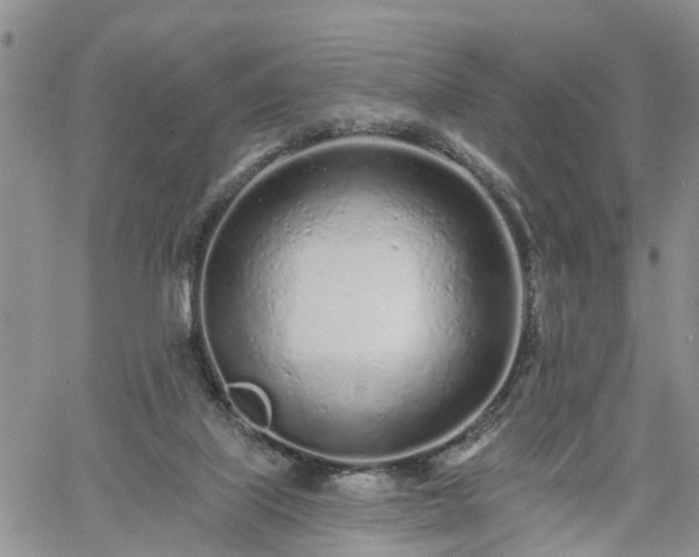 X0000061730067200512091555