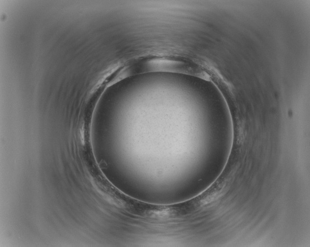 X0000061730068200512091555