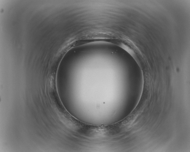 X0000061730071200512091555