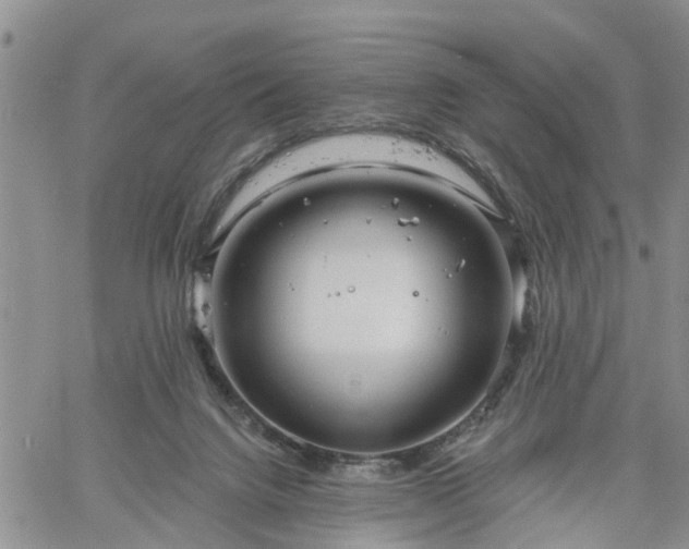 X0000061730072200512091556