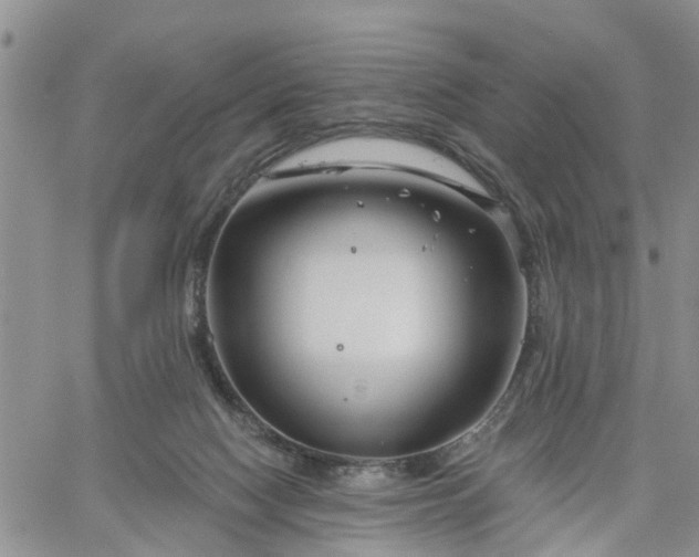 X0000061730074200512091556