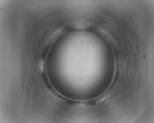 X0000061730075200512091556