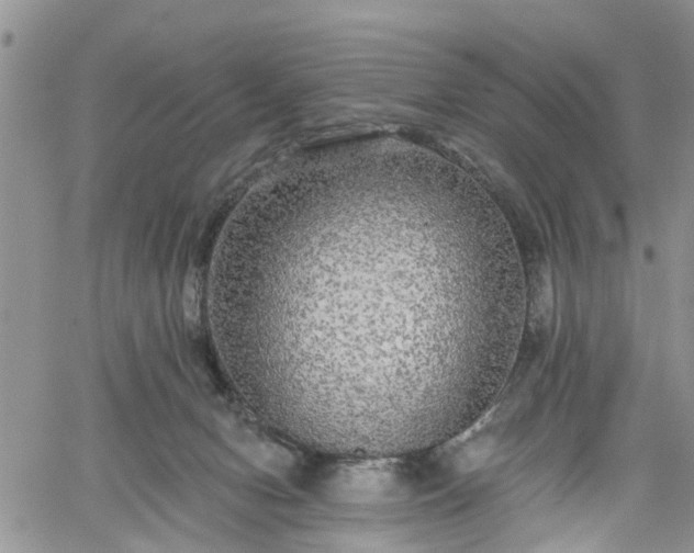 X0000061730078200512091556