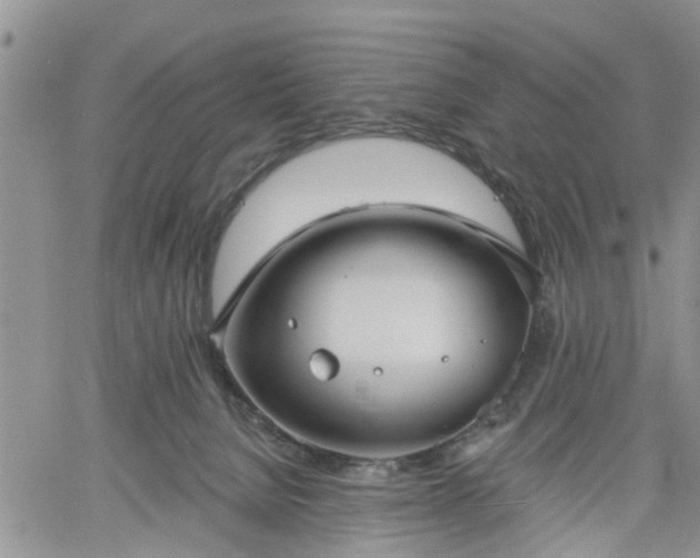 X0000061730080200512091556