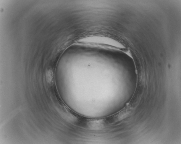 X0000061730081200512091556