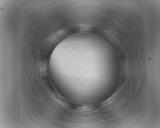 X0000061730082200512091556