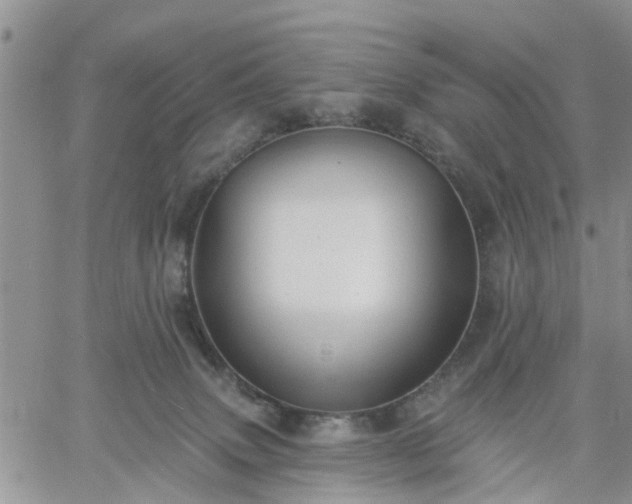 X0000061730083200512091556