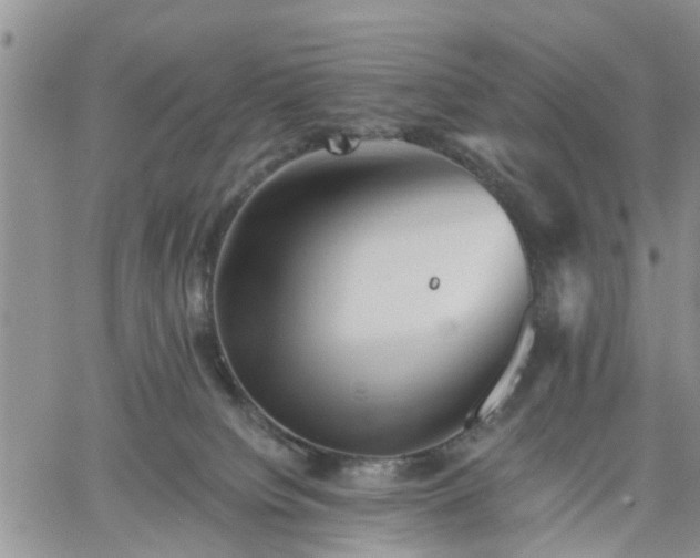 X0000061730084200512091556