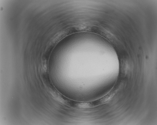 X0000061730085200512091556