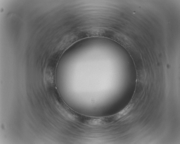 X0000061730086200512091556