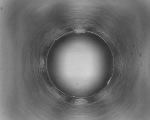 X0000061730087200512091556