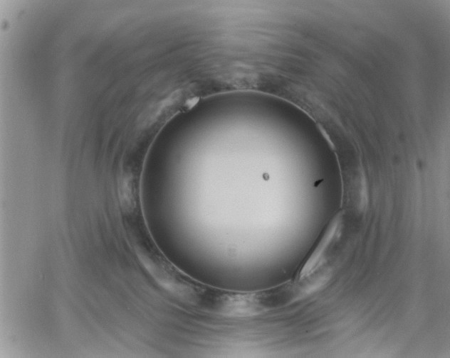 X0000061730088200512091556