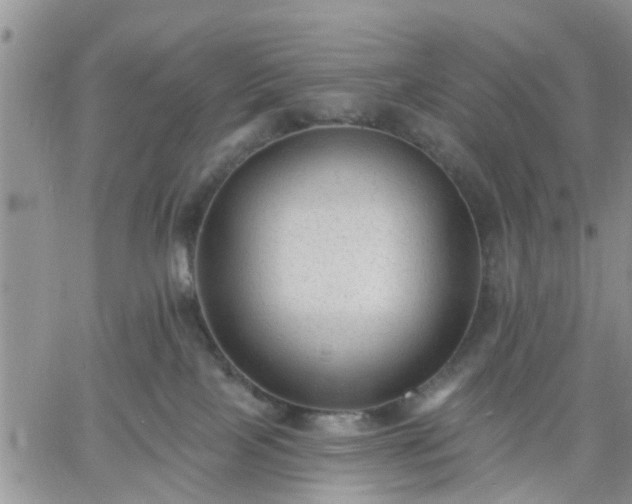 X0000061730089200512091556