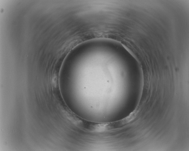 X0000061730090200512091556