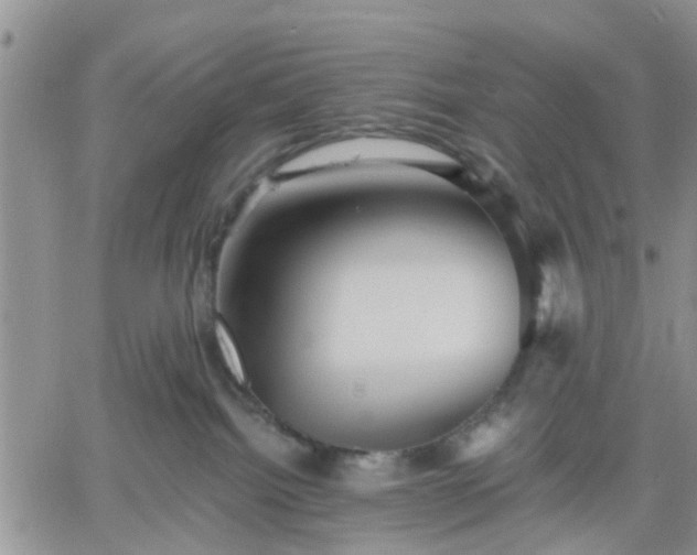 X0000061730092200512091556