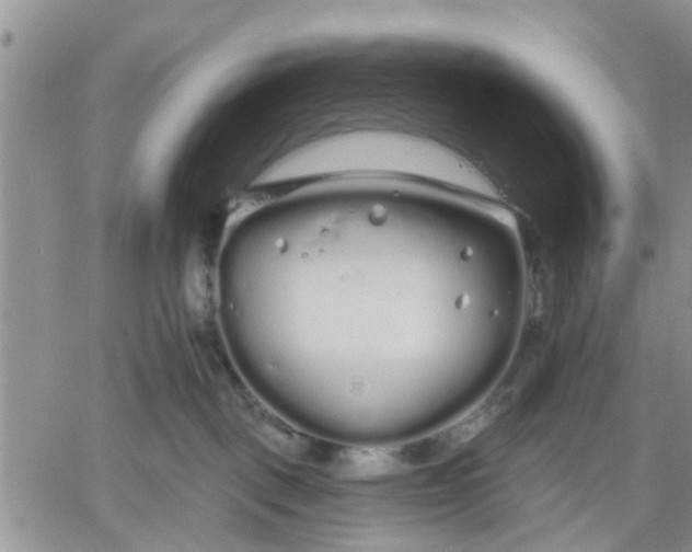 X0000061730093200512091556