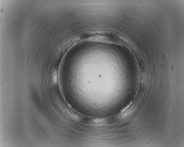 X0000061730095200512091556