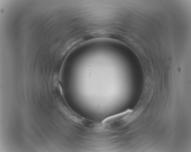 X0000061730096200512091556