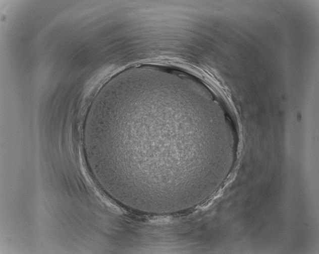 X0000061730097200512091555