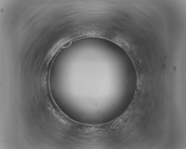 X0000061730098200512091555