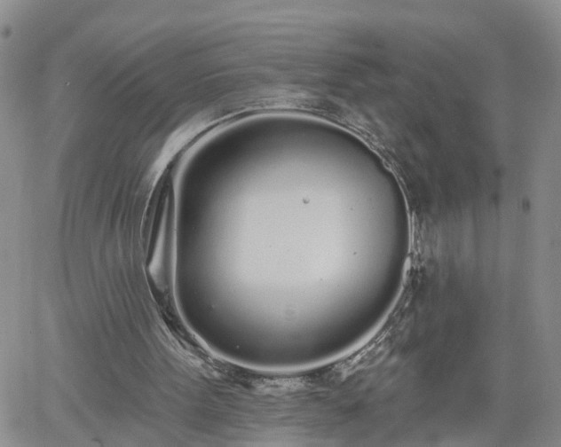 X0000061730099200512091555